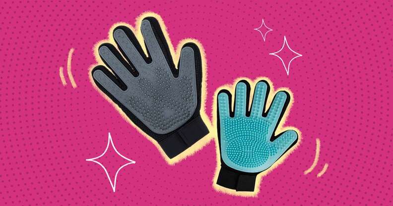 Jml 2024 pet glove