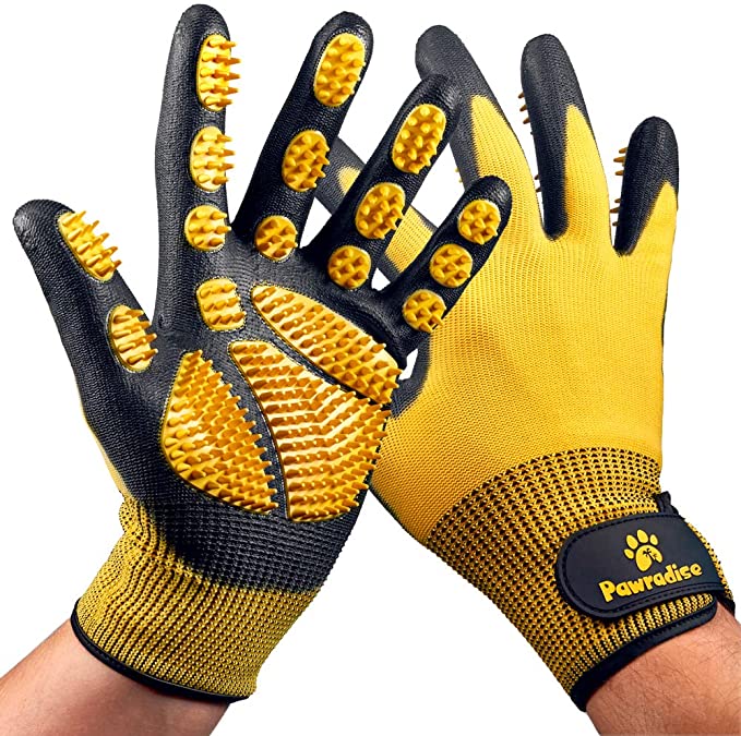 The 5 Best Cat Brush Gloves of 2024