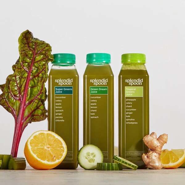 6 of the Best PlantBased Meal Delivery Services of 2022 Thrillist