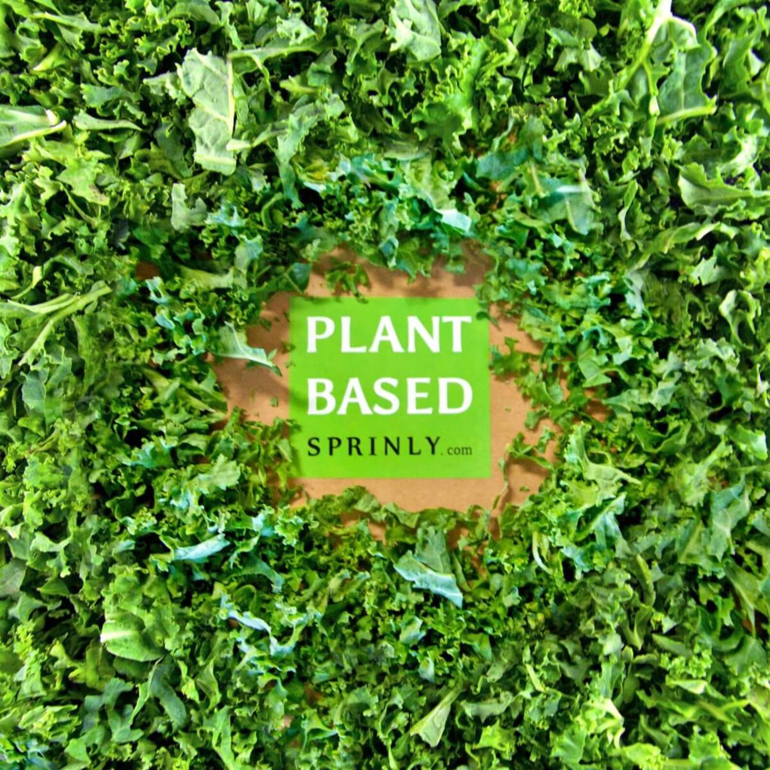 Springly 6 of the Best Plant-Based Meal Delivery Services of 2022 - Thrillist