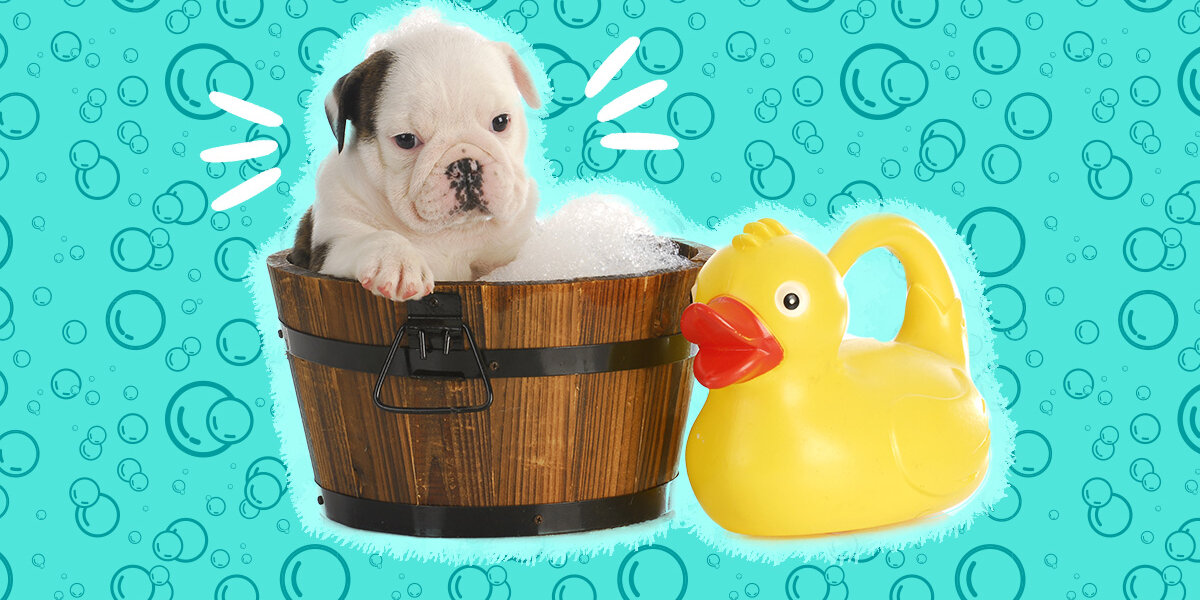 Bathing puppies deals