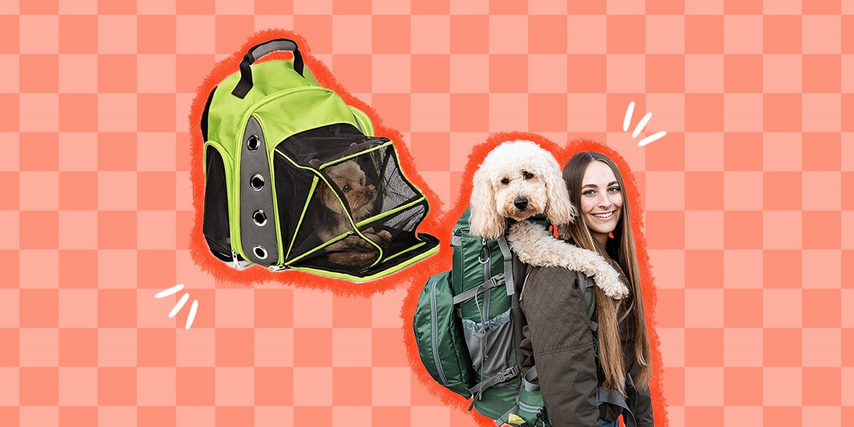 Pet Fit for Life Dog & Cat Carrier Backpack