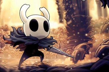 Hollow Knight