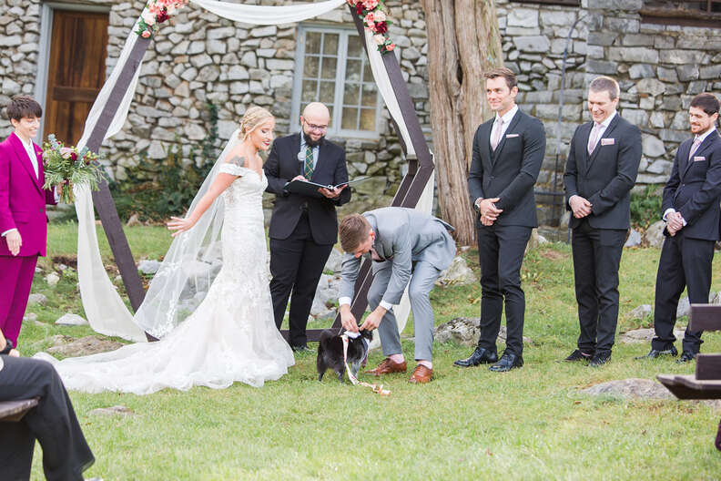 dog in wedding