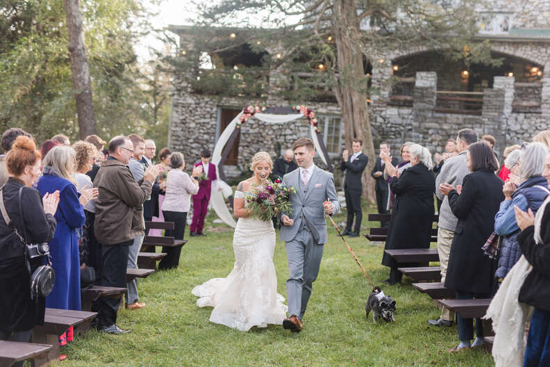 cute dog in wedding