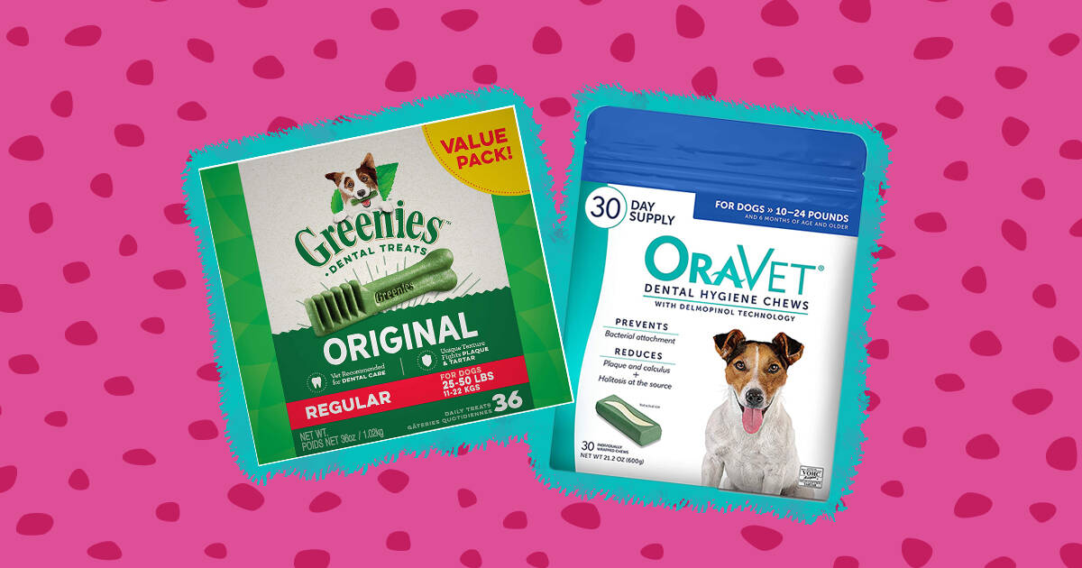 The 5 Best Dog Dental Chews According To Veterinarians