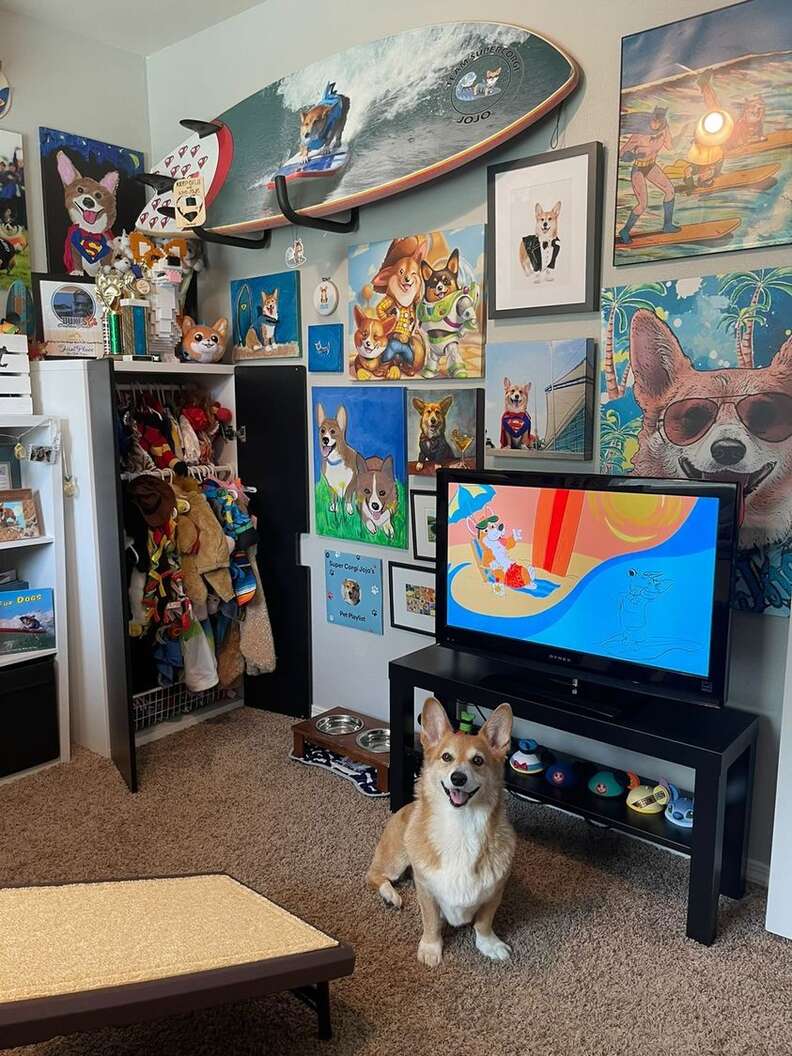 corgi bedroom