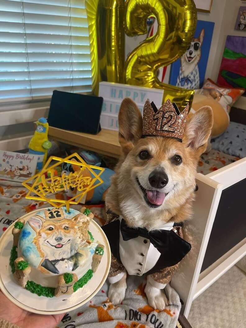 Corgi birthday outlet hat