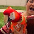 This Woman's Love For Her Parrot Is Everything Humanity Needs