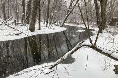 Sarett Nature Center