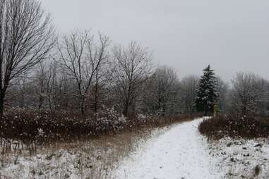 Friends of Havenwoods State Forest