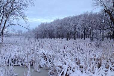 Lincoln Marsh Natural Area