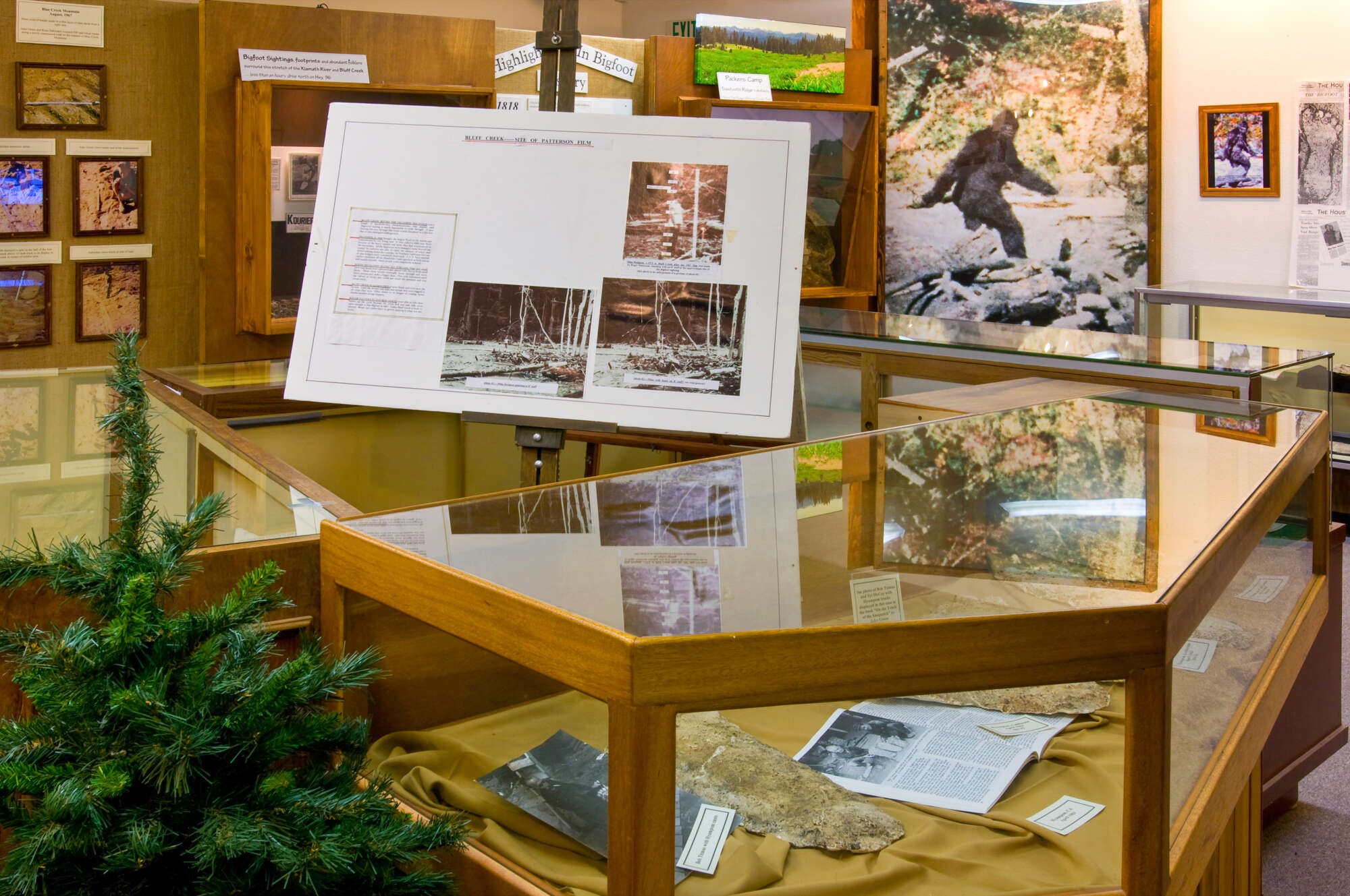 Turns Out Bigfoot’s Hometown Is in Northern California