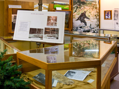a display case full of bigfoot artifacts