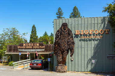 Bigfoot in the redwoods - Save the Redwoods League