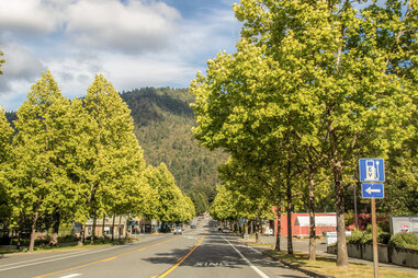 a road through a rural community