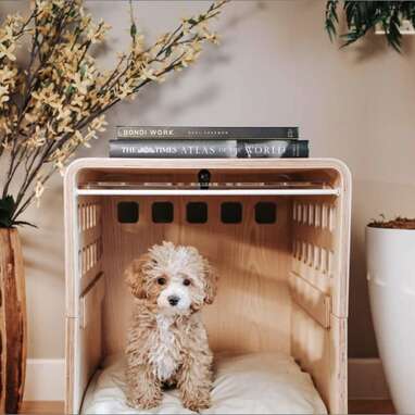 Minimalist dog crate: Fable Crate