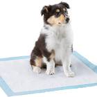 Amazon Basics Dog and Puppy Pads, Heavy Duty Absorbency Pee Pads with Leak-proof Design and Quick-dry Surface for Potty Training