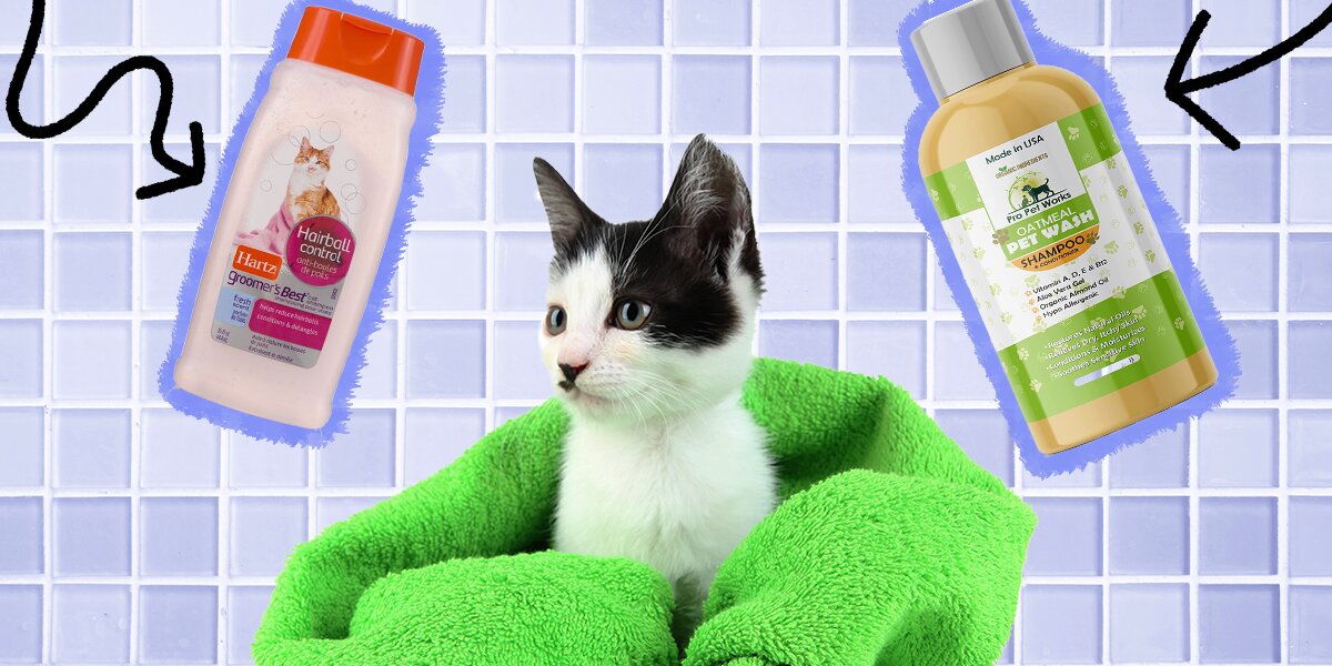 Can you use hartz outlet dog shampoo on cats