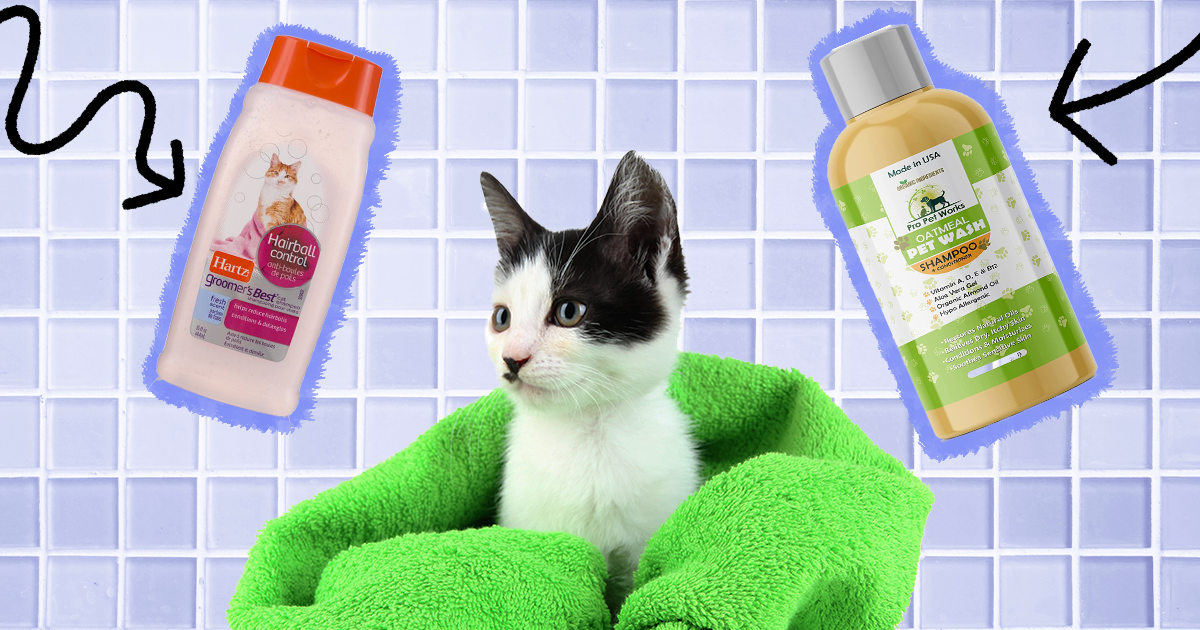 Best cat shampoo and hot sale conditioner