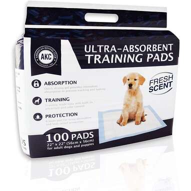 Best scented puppy pads: American Kennel Club Pet Training Puppy Pads