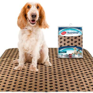 Best reusable puppy pads: Simple Solution Washable Dog Training & Travel Pad