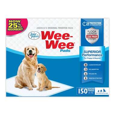 How to get puppies to pee on pad best sale