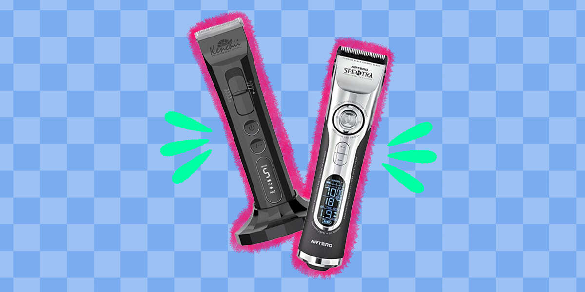 Best Dog Clippers, According To A Professional Groomer DodoWell The