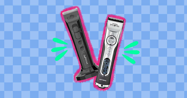 dog hair clippers