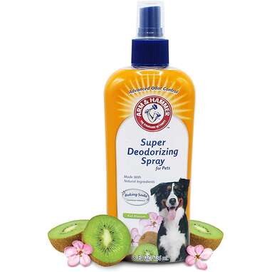 Best 6 Dog Perfumes And Colognes To Make Your Pup Smell Amazing DodoWell The Dodo