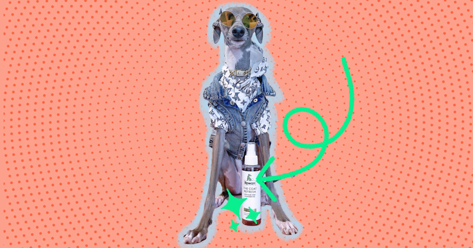 Best 6 Dog Perfumes And Colognes To Make Your Pup Smell Amazing DodoWell The Dodo