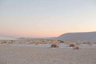 a sand dune covered in snow and shrubs