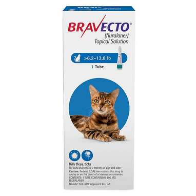 bravecto for cats