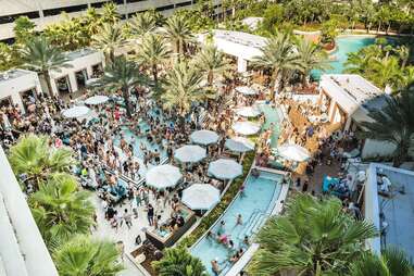 DAER South Florida