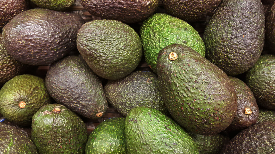 An Avocado Shortage Just Hit the US as Imports Halt From Mexico Thrillist