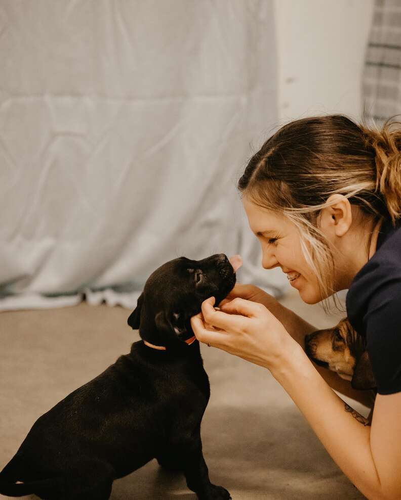 woman and puppies