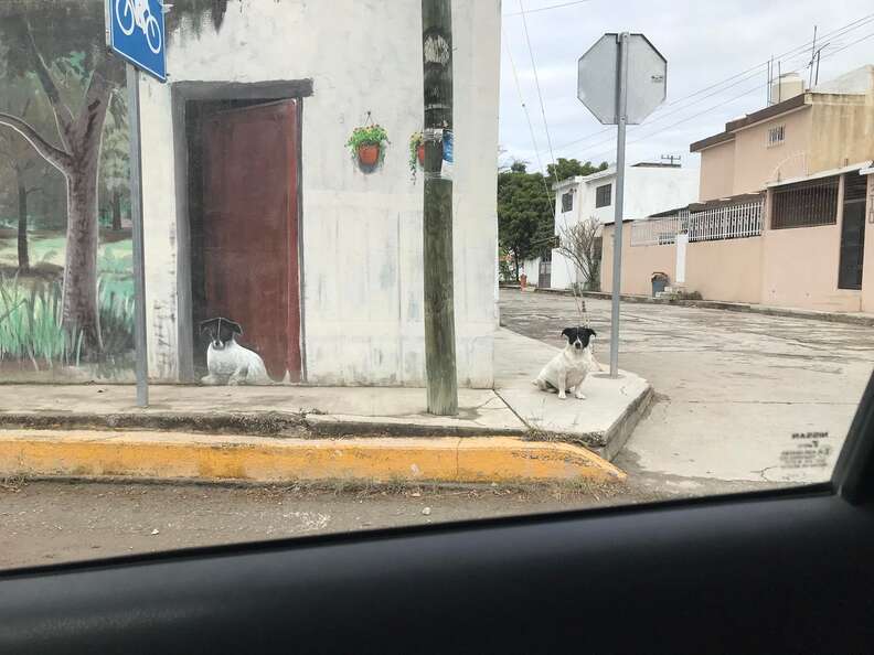 dog sits next to mural he inspired