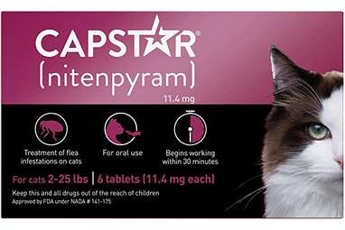 Capstar Fast-Acting Treatment Tablet