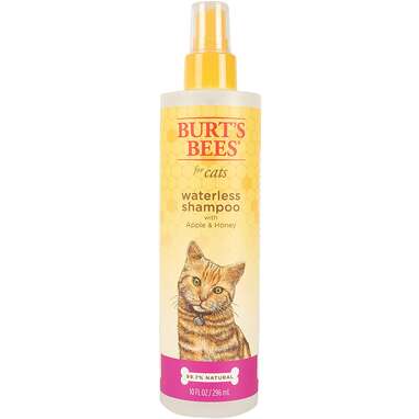 Best dry best sale shampoo for cats