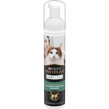 Diy dry hotsell cat shampoo