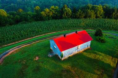 Mercier Orchards