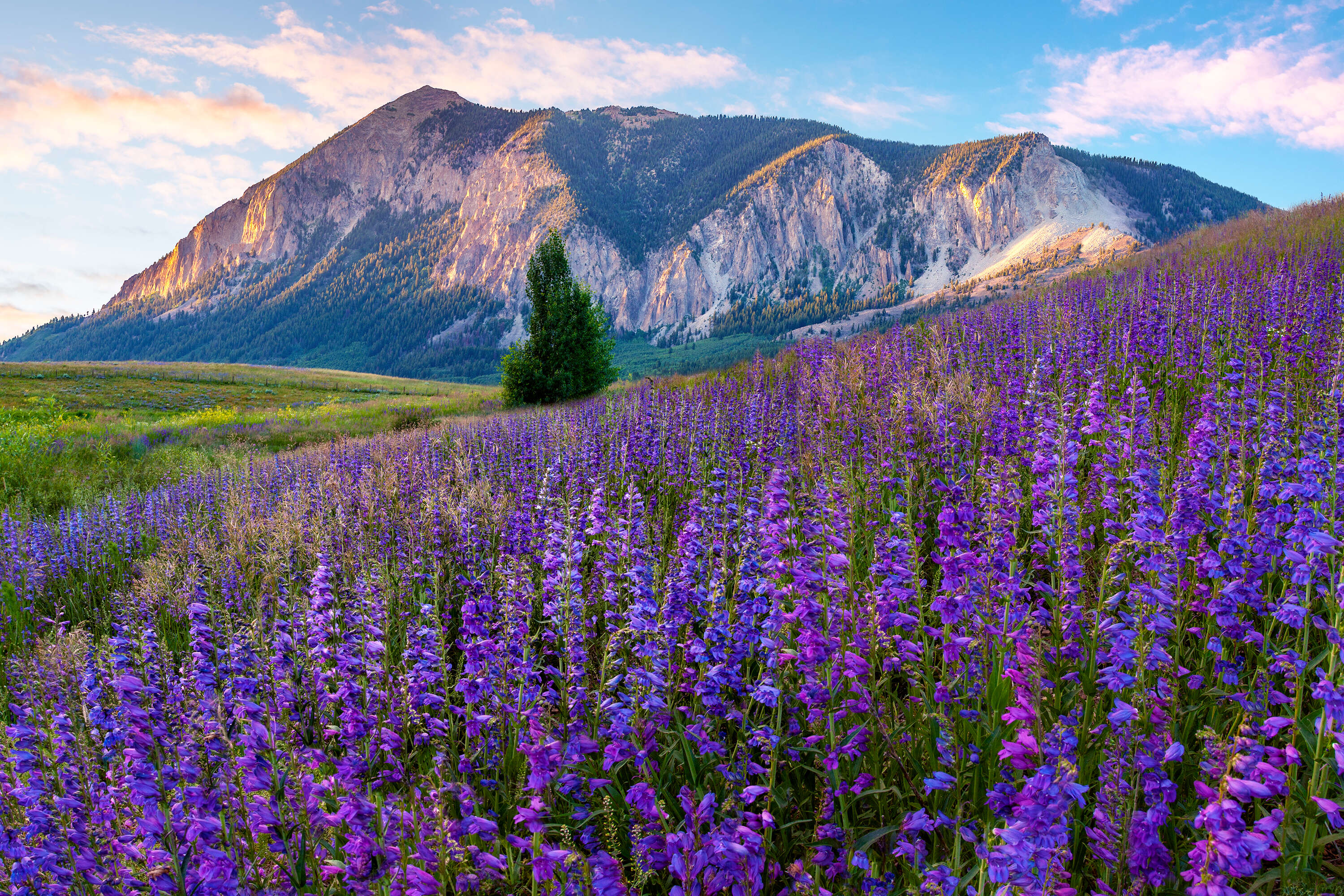 Crested Butte, Colorado