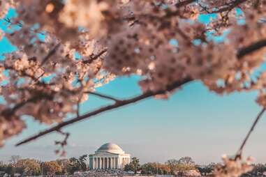 washington dc