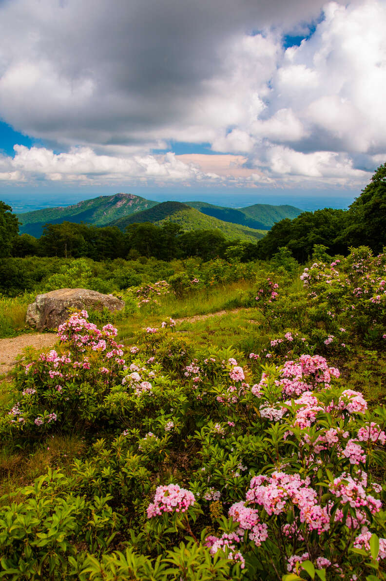 Shenandoah National Park