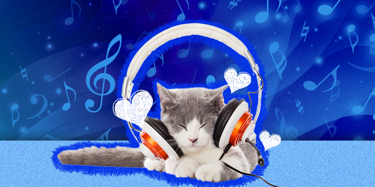 do-cats-like-music-dodowell-the-dodo