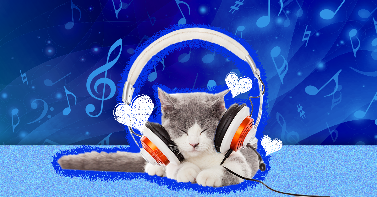 Music to outlet calm down cats