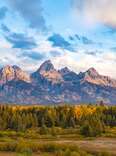 impressive mountains surrounded by a forest of trees at grand teton national park, wyoming