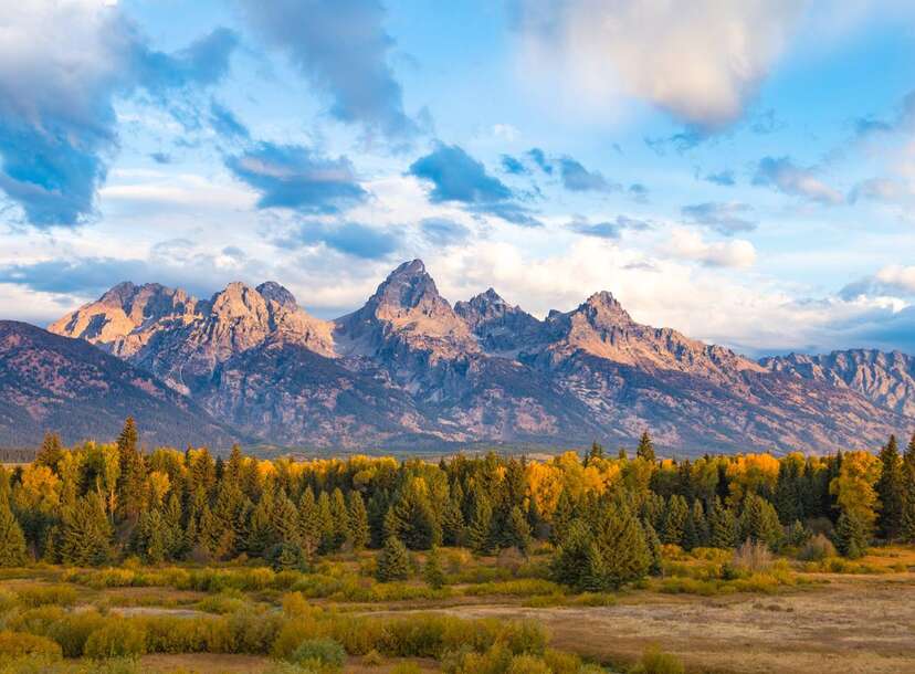 impressive mountains surrounded by a forest of trees at grand teton national park, wyoming