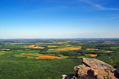view