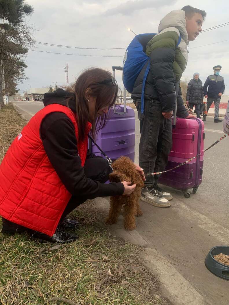 Ukrainians fleeing with their pets